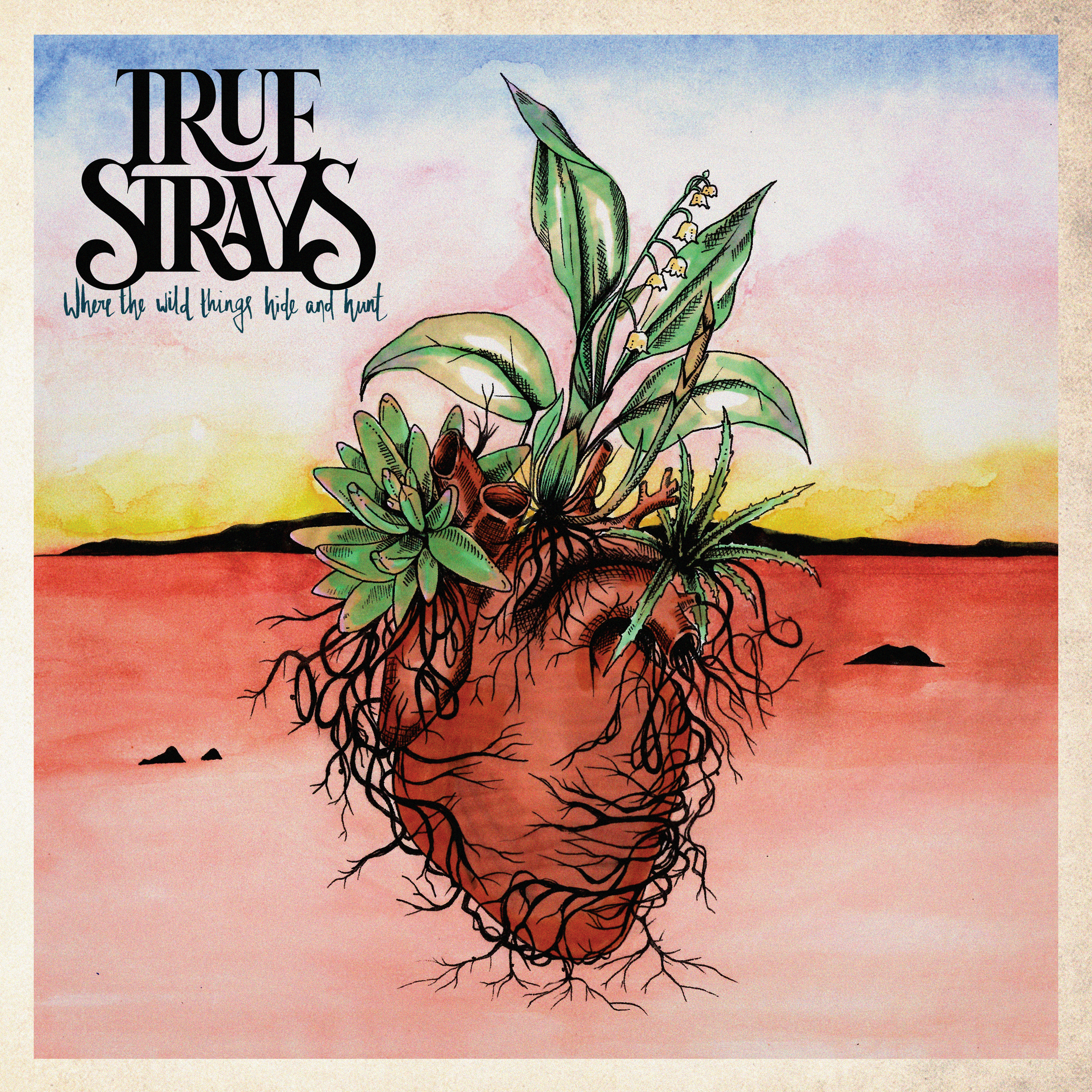 New Ep Artwork The True Strays New Ep Artwork The True Strays